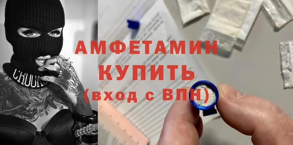 прущие грибы Горнозаводск
