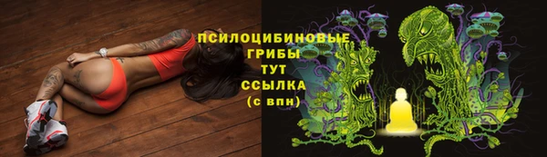 гидропоника Горняк