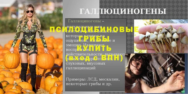 бошки Горно-Алтайск
