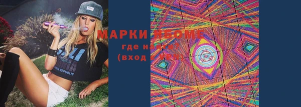 прущие грибы Горнозаводск